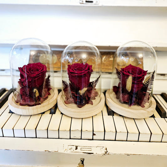 Kleng Cloche with stabilized Rous on threshing flowers on the rouden