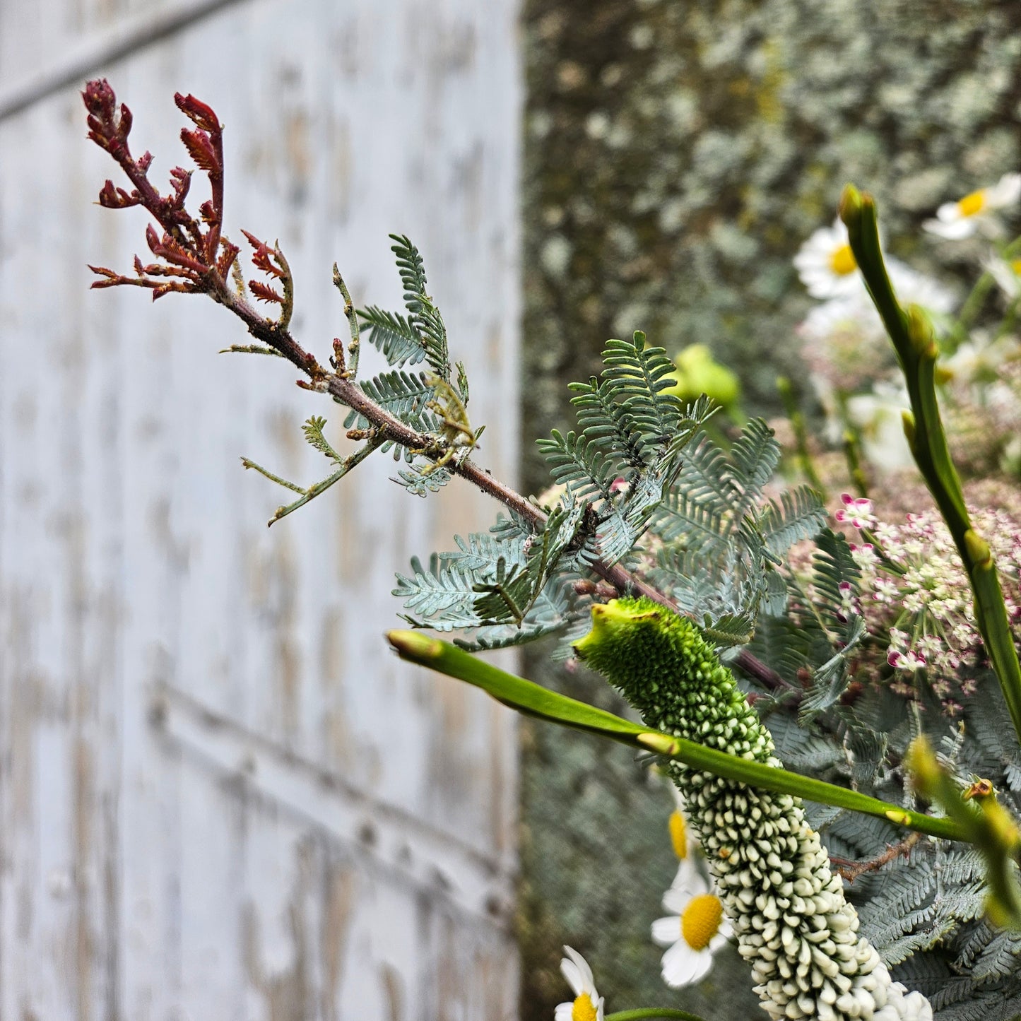 Vase Bambi gefëllt mat Blummen