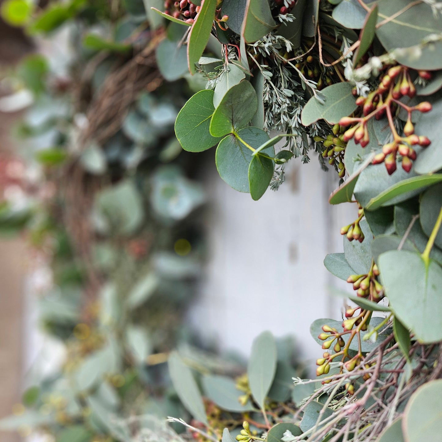 Wreath for and d'Dier made from 2 types of eucalyptus on threshed thyme