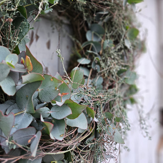 Couronne de sapin un d'Dier en Eucalyptus Cinerea au thym battu