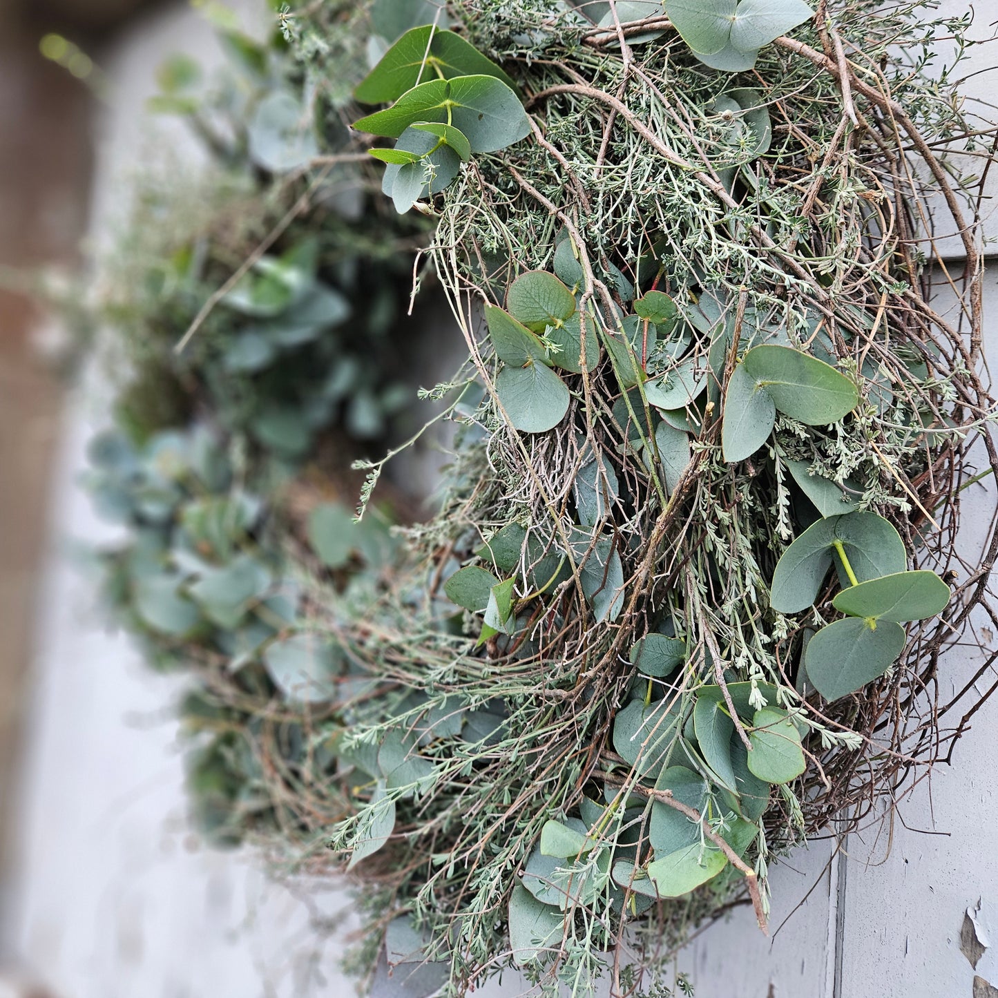 Wreath fir un d'Dier made from Eucalyptus Cinerea with threshed thyme