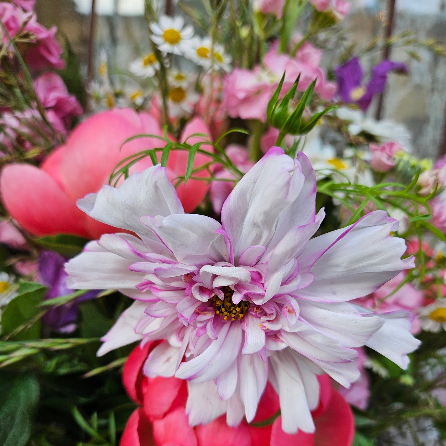 Bouquet champêtre