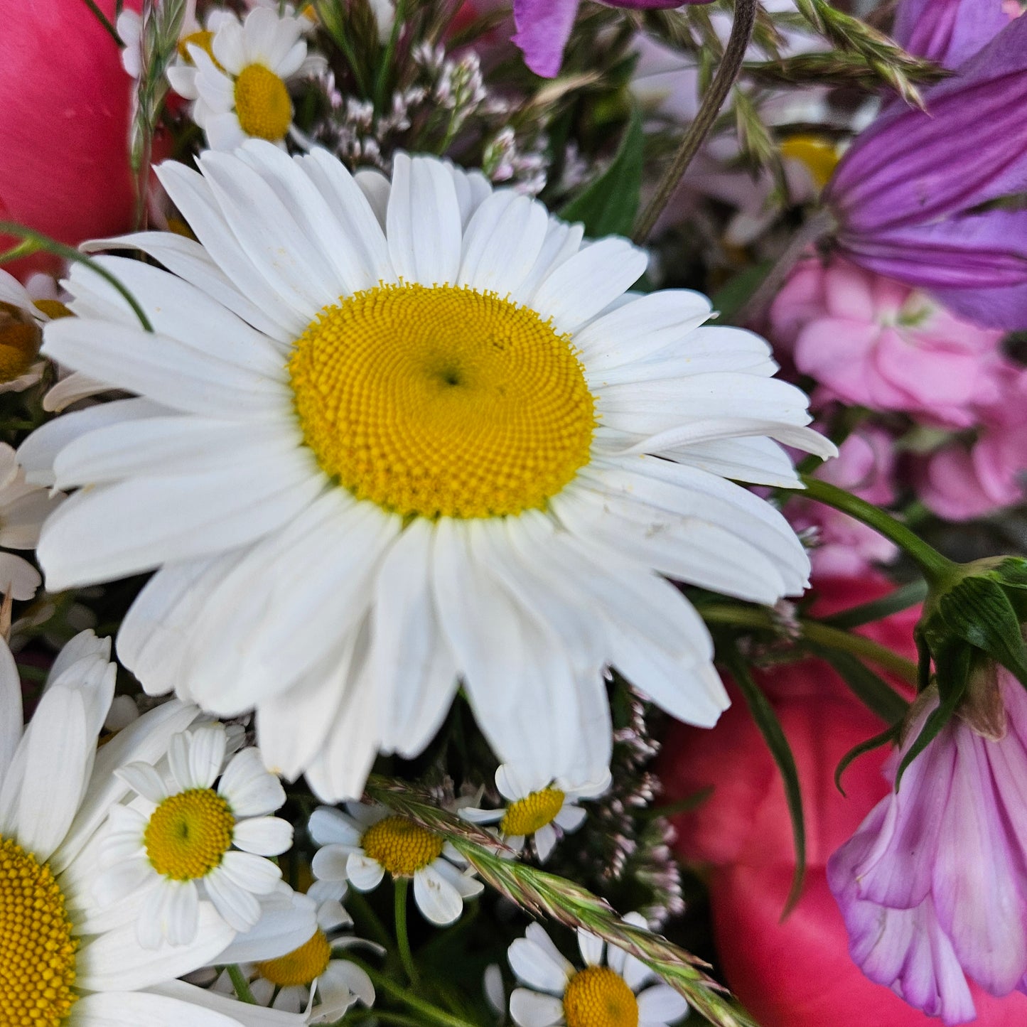 Bouquet champêtre