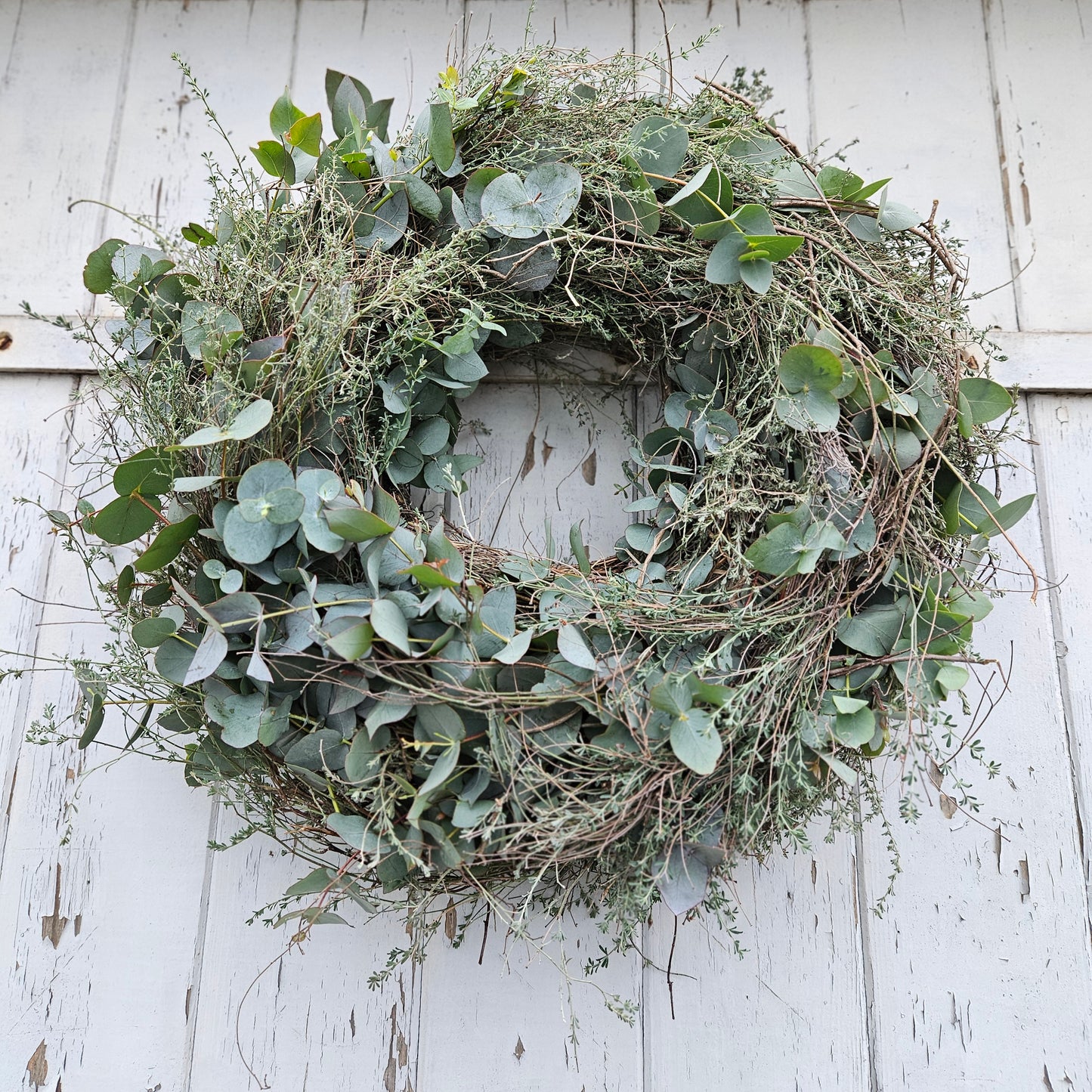 Wreath fir un d'Dier made from Eucalyptus Cinerea with threshed thyme