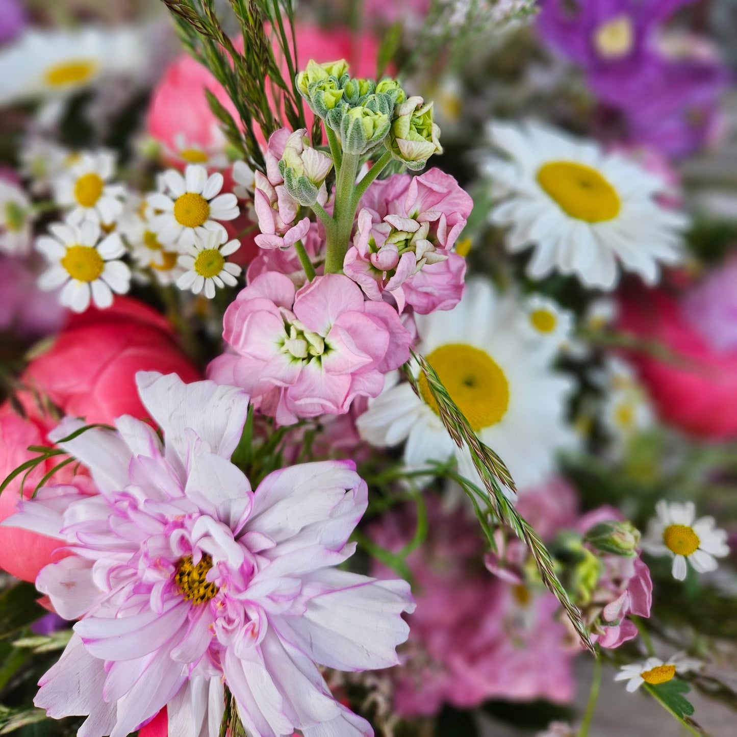 Bouquet champêtre