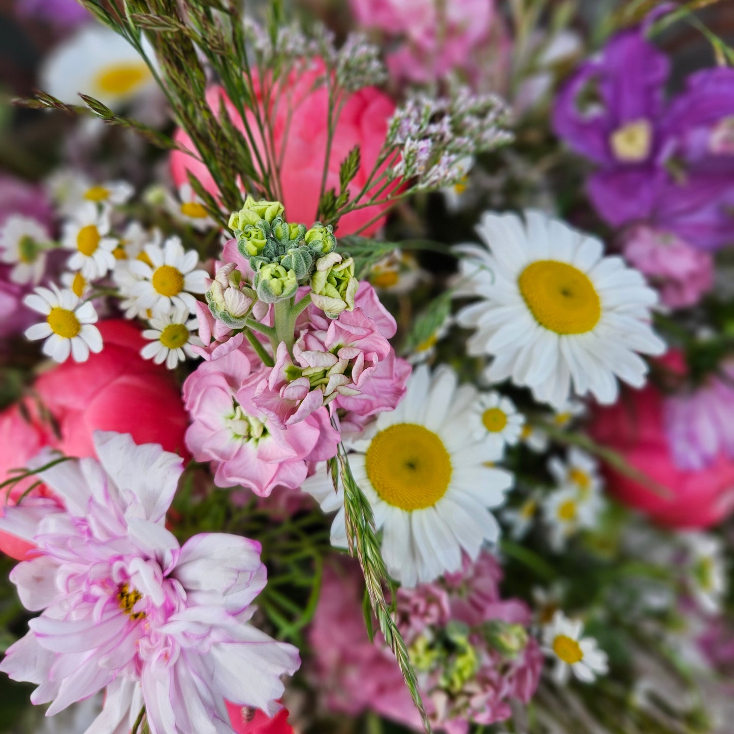 Bouquet champêtre