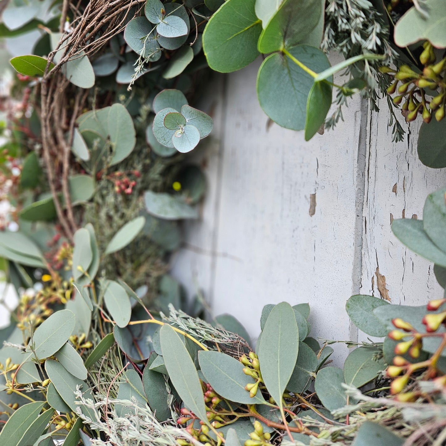 Wreath for and d'Dier made from 2 types of eucalyptus on threshed thyme