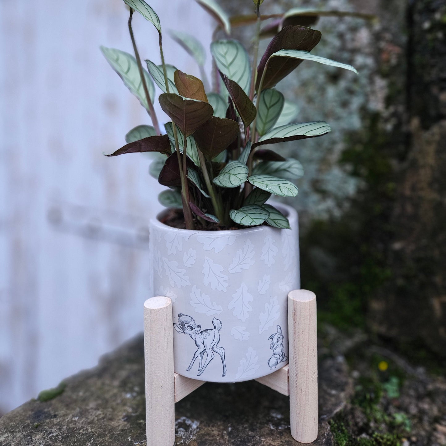 Cache-pot FRIENDS         Bambi & Klopfer mat Calathea