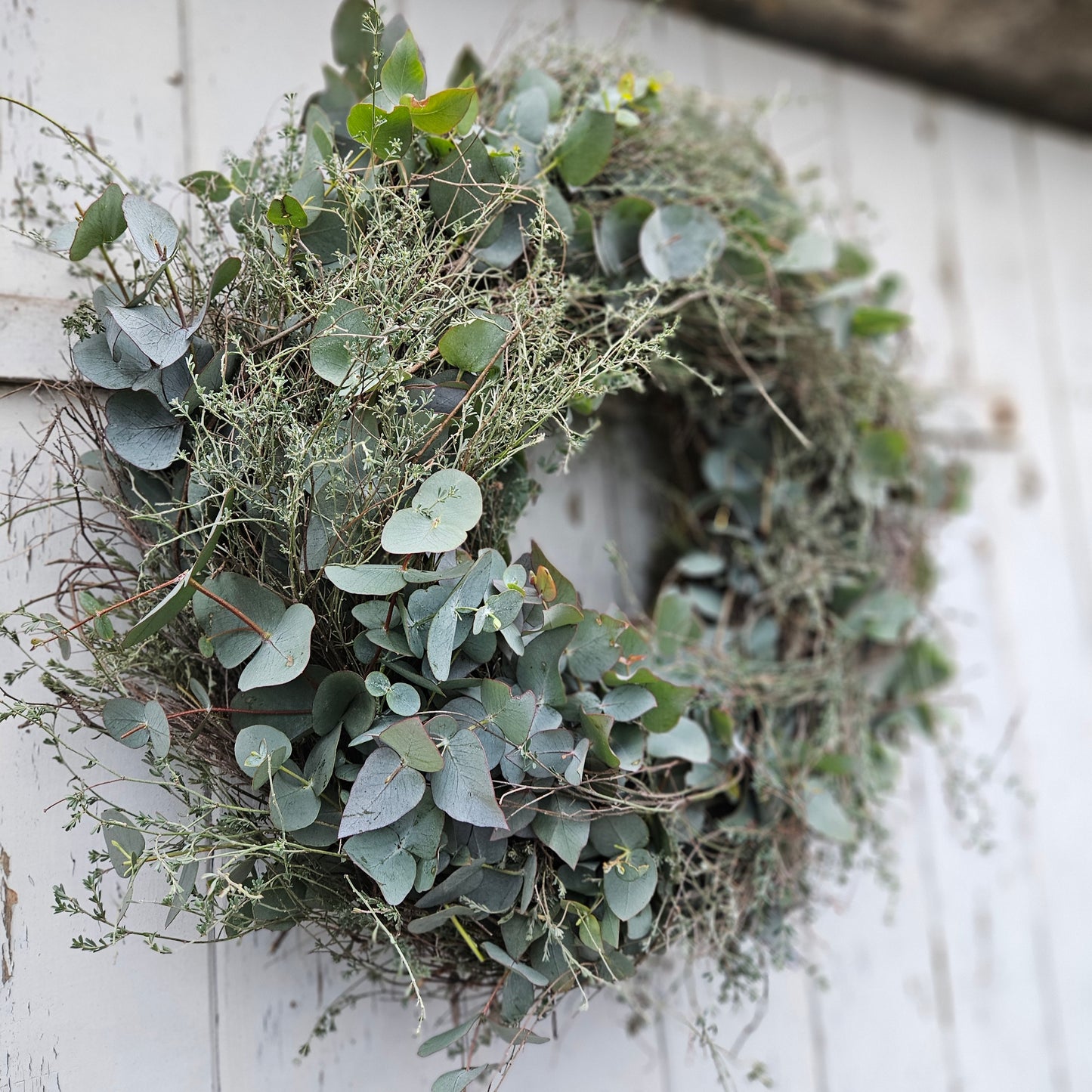 Wreath fir un d'Dier made from Eucalyptus Cinerea with threshed thyme